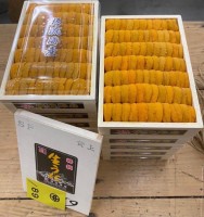 日本直送-柊流(上)海膽