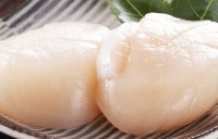 日本珍寶帶子刺身 (2L)